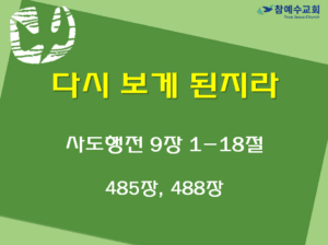 다시 보게 된지라 (행 9:1-18)