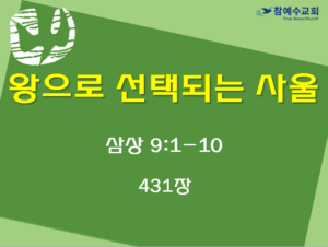 왕으로 선택되는 사울 (삼상 9:1-10)