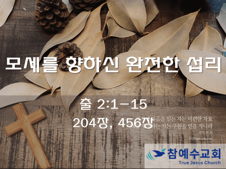 모세를 향하신 완전한 섭리 (출 2:1-15)