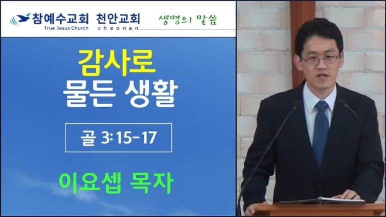 감사로 물든 생활 (골3:15-17)