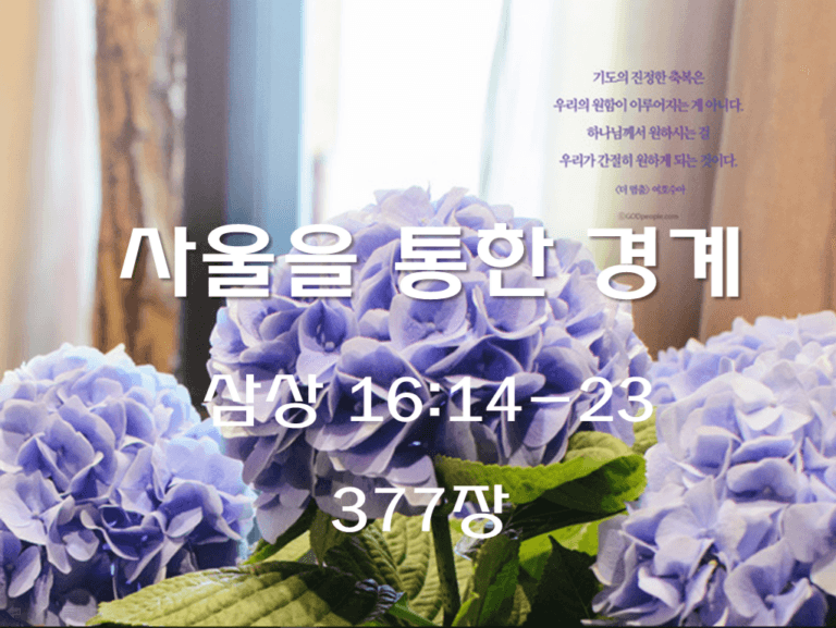 사울을 통한 경계(삼상 16:14-23)