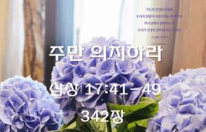 주만 의지하라 (삼상 17:41-49)