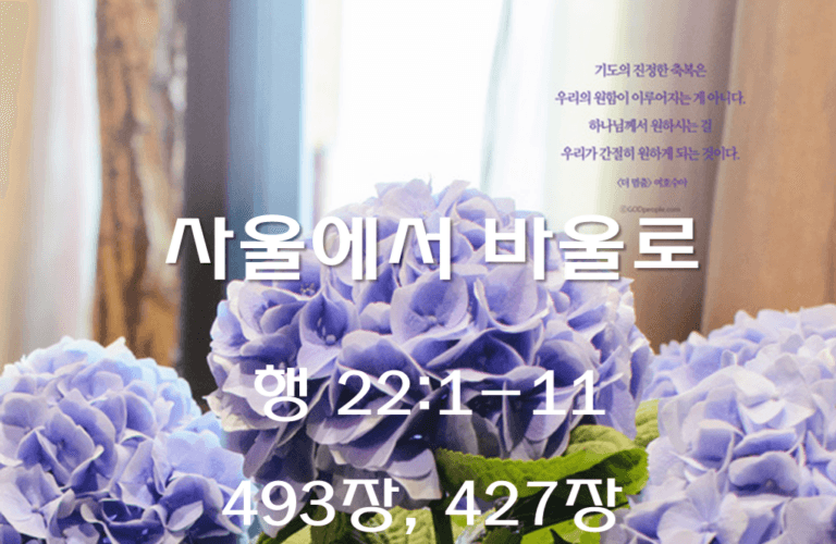 사울에서 바울로 (행 22:1-11)
