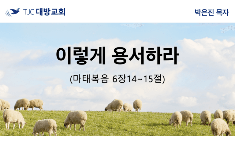 이렇게 용서하라 (마 6:14~15)