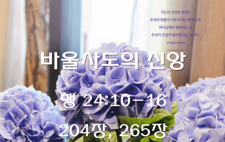 바울사도의 신앙 (행 24:10-16)