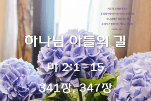 하나님 아들의 길 (마2:1-15)