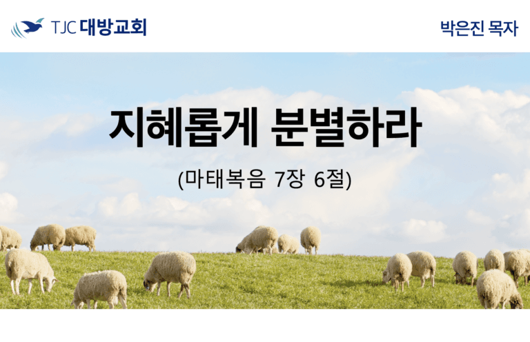 지혜롭게 분별하라 (마 7:6)