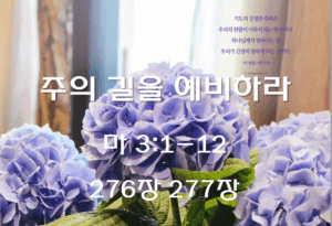 주의 길을 예비하라 (마 3:1-12)