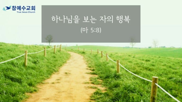 하나님을 보는 자의 행복 (마 5:8)