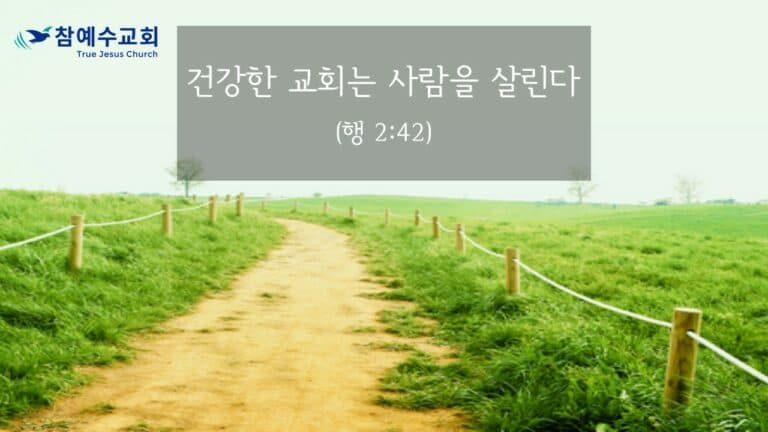 건강한 교회는 사람을 살린다 (행 2:42)