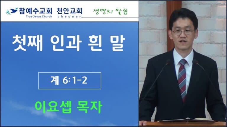 첫째 인과 흰말