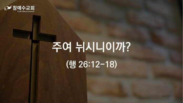 주여 뉘시이니까? (행 26:12-18)