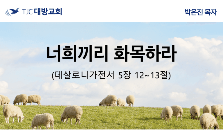 너희끼리 화목하라 (데살 5:12~13)
