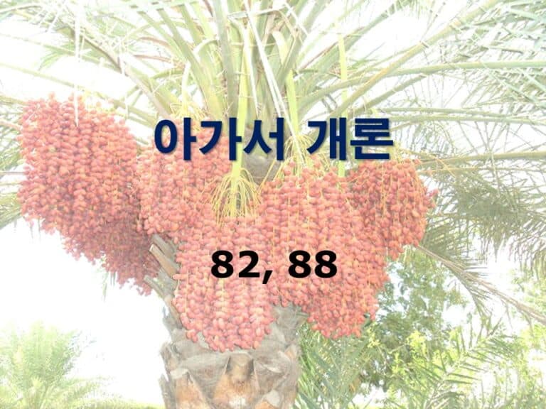 구약개론 2권 [아가서]