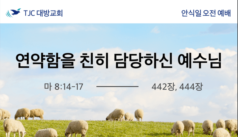 연약함을 친히 감당하신 예수님 (마 8:14-17)