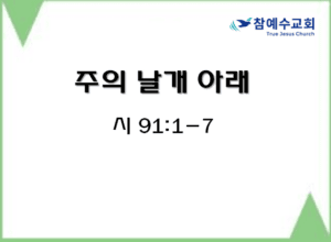 주의 날개 아래 (시 91:1-7)