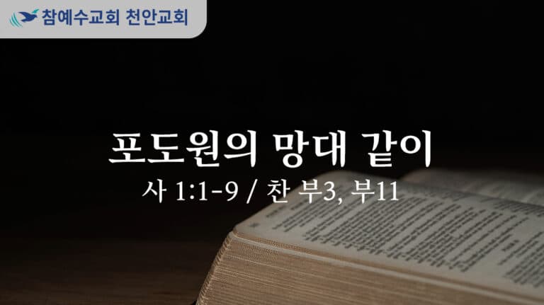 포도원의 망대같이 (사 1:1-9)