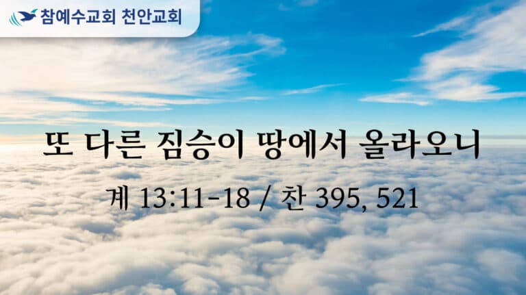 또 다른 짐승이 땅에서 올라오니 (계 13: 11-18)