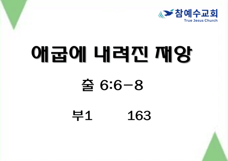 애굽에 내려진 재앙 (출 6:6-8)