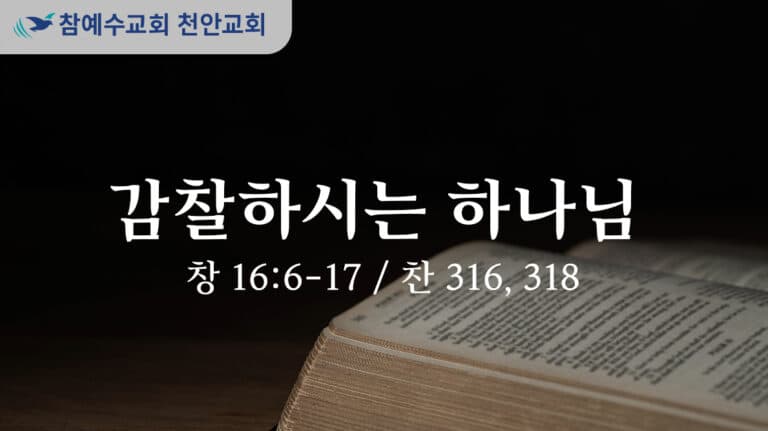 감찰하시는 하나님 (창 16:6-17)