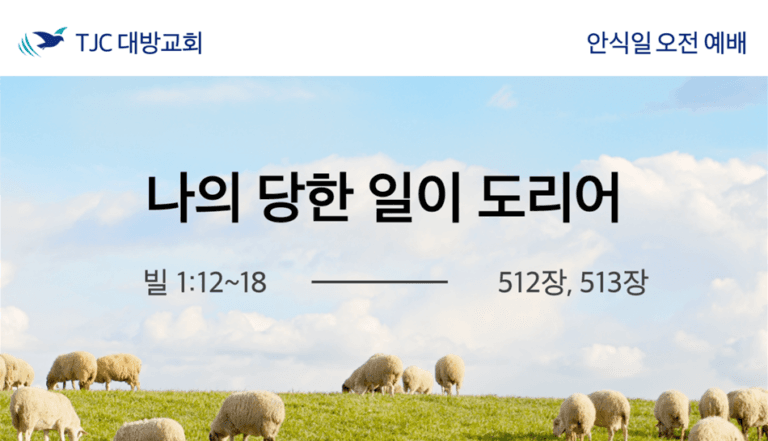 나의 당한 일이 도리어(빌 1:12-18)