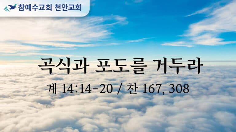 곡식과 포도를 거두라 (계 14:14-20)