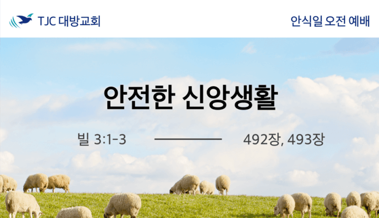 안전한 신앙생활 (빌 3:1-3)