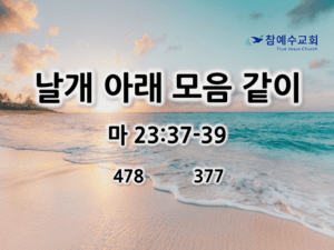날개 아래 모음 같이 (마 23:37-39)