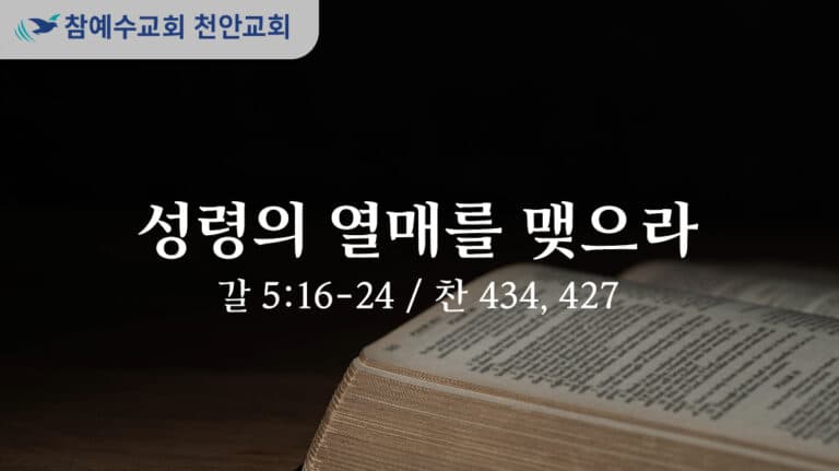 성령의 열매를 맺으라 (갈 5:6-24)