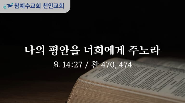 나의 평안을 너희에게 주노라 (요 14:27)