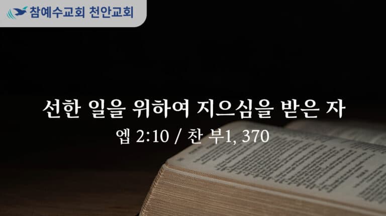 선한 일을 위하여 지으심을 받은 자 (엡 2:10)