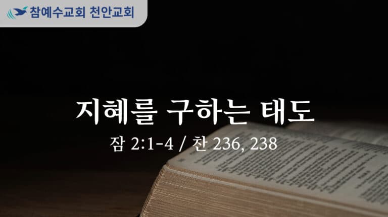 지혜를 구하는 태도 (잠 2:1-4)