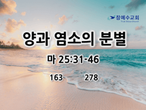 양과 염소의 분별 (마 25:31-46)