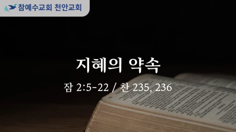 지혜의 약속 (잠 2:5-22)