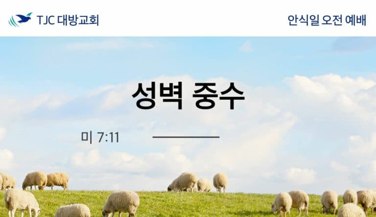 성벽중수(4) 20201031 윤득도 목자