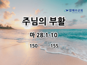 주님의 부활 (마 28:1-10)