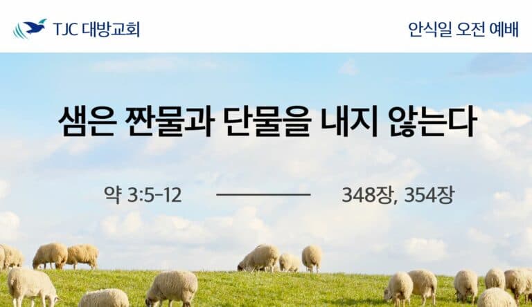 샘은 짠물과 단물을 내지 않는다 (약 3:5-12)
