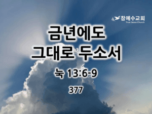 금년에도 그대로 두소서 (눅 13:6-9)
