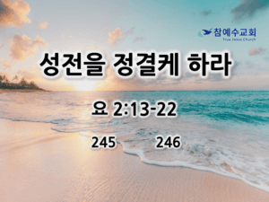 성전을 정결케 하라 (요 2:13-22)