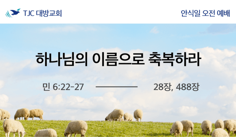 하나님의 이름으로 축복하라 (민 6:22-27)