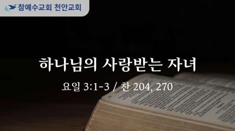 하나님의 사랑받는 자녀 (요일 3:1-3)