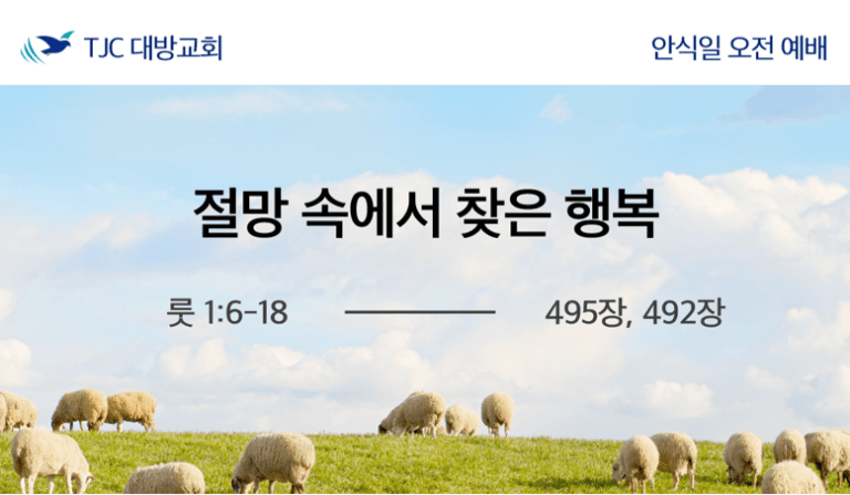 절망 속에서 찾은 행복 (룻 1:6-18)