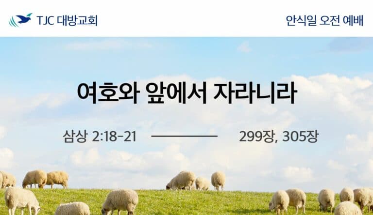여호와 앞에서 자라니라 (삼상 2:18-21)