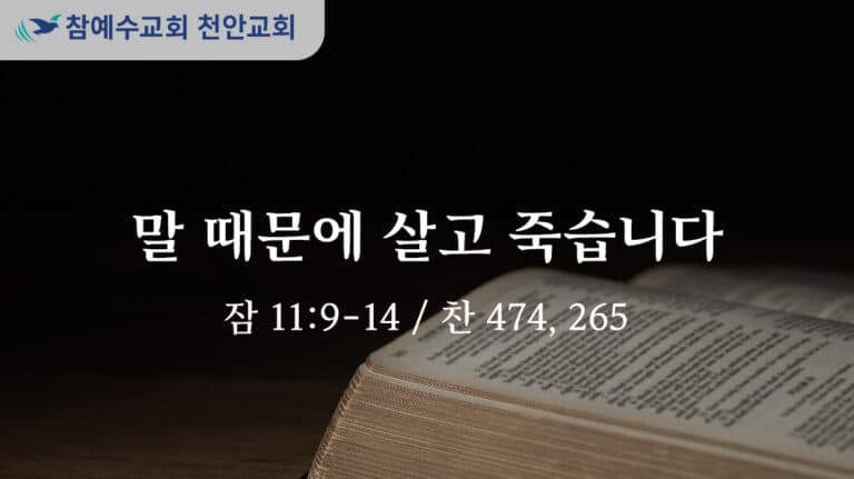말 때문에 살고 죽습니다 (잠 11:9-14)