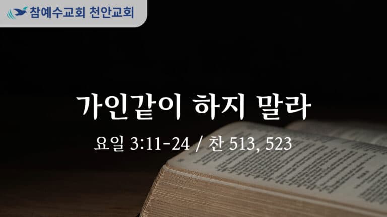 가인같이 하지 말라 (요일 3:11-24)