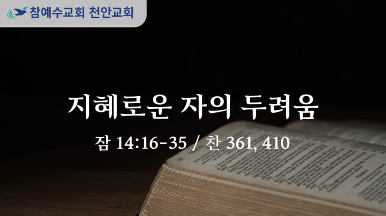 지혜로운 자의 두려움 (잠 14:16-35)
