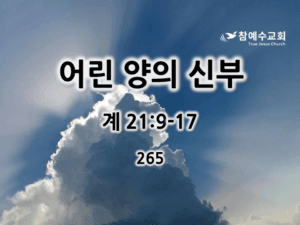 어린 양의 신부 (계 21:9-17)