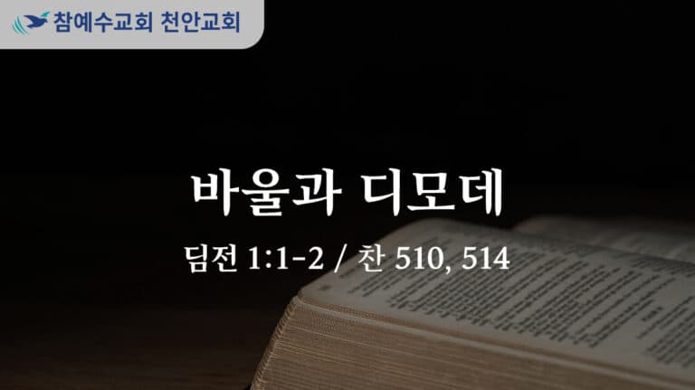 바울과 디모데 (딤전 1:1-2)