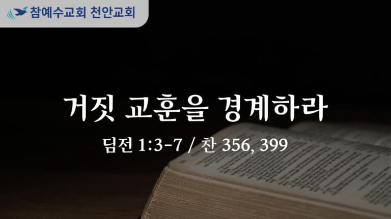 거짓 교훈을 경계하라 (딤전 1:3-7)