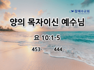 양의 목자이신 예수님 (요 10:1-5)